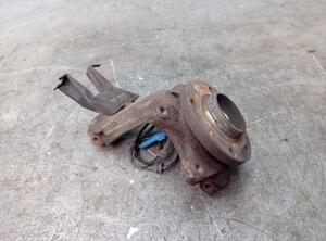 Stub Axle PEUGEOT 206+ (2L_, 2M_)