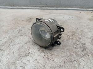 Mistlamp RENAULT MEGANE II (BM0/1_, CM0/1_)