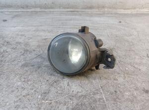 Fog Light RENAULT CLIO III (BR0/1, CR0/1)