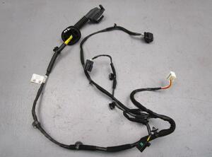 Door Wiring Harness HYUNDAI Kona (OS, OSE, OSI)