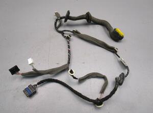 Door Wiring Harness RENAULT Megane III Grandtour (KZ0/1)