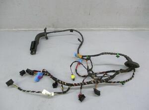 Door Wiring Harness VW Golf Sportsvan (AM1, AN1)