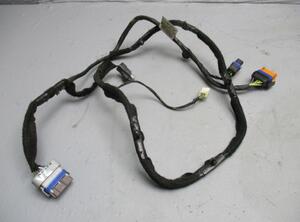 Kabel Tür vorne links  PEUGEOT 1007 KM 1.4 54 KW