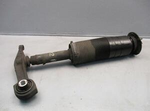 Suspension Strut MERCEDES-BENZ S-Klasse (W220)