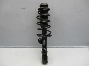 Suspension Strut TOYOTA Urban Cruiser (P1)