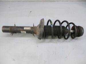 Suspension Strut VW Golf IV (1J1)