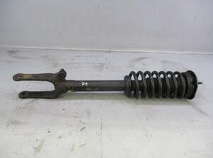 Suspension Strut MERCEDES-BENZ R-Klasse (V251, W251)