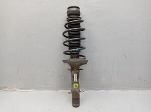 Suspension Strut VW Golf IV (1J1)