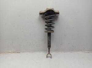 Suspension Strut VW PASSAT Variant (3B6)