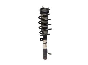 Suspension Strut FORD FIESTA V (JH_, JD_)