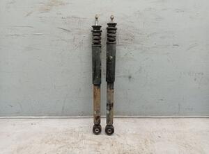 Shock Absorber RENAULT Twingo II (CN0)