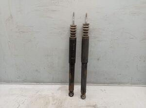 Shock Absorber RENAULT CLIO III (BR0/1, CR0/1)