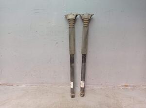 Shock Absorber FORD C-MAX (DM2), FORD FOCUS C-MAX (DM2)