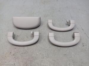 Grab Handle FIAT QUBO (225_)