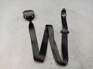 Safety Belts AUDI A4 Avant (8K5, B8)