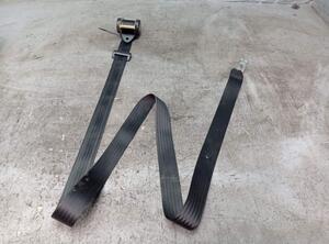 Safety Belts FORD FOCUS C-MAX (DM2)