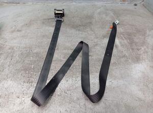 Safety Belts FORD FOCUS C-MAX (DM2)