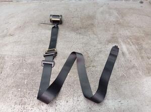 Safety Belts FORD FOCUS C-MAX (DM2)