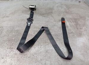 Safety Belts FORD FOCUS C-MAX (DM2)