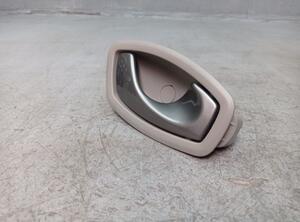 Interior Door Handle RENAULT ZOE (BFM_)