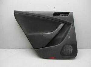 Door Card (Door Panel) VW Passat Variant (3C5)