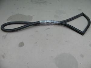 Rear Window Seal SEAT Ibiza III (6L1)