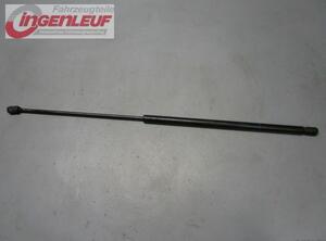 Gas Spring Engine Hood AUDI A6 (4F2, C6)