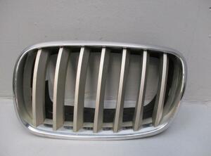 Radiator Grille BMW X6 (E71, E72)