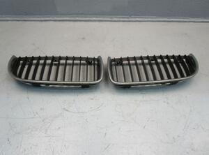 Radiateurgrille BMW 3er Touring (E91)