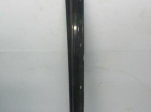 Sill Trim MERCEDES-BENZ A-Klasse (W169)