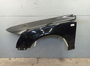 Spatbord AUDI A6 Avant (4F5, C6)