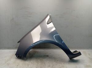 Spatbord RENAULT CLIO III (BR0/1, CR0/1)