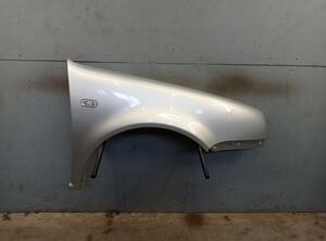 Spatbord VW GOLF IV (1J1)