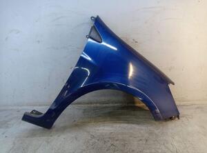 Spatbord RENAULT CLIO III (BR0/1, CR0/1)