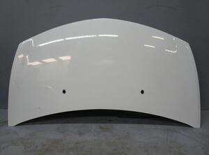 Bonnet RENAULT Clio III (BR0/1, CR0/1)