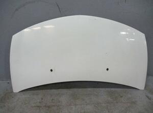 Motorhaube Haube Blanc Glacier OV369 RENAULT CLIO III (BR0/1  CR0/1) 1.5 DCI 50 KW