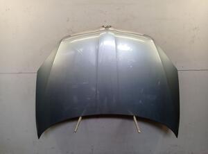 Motorhaube Haube Satin Grau LF5X SKODA FABIA II (542) 1.2 44 KW