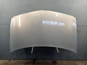 Bonnet RENAULT MEGANE II (BM0/1_, CM0/1_)