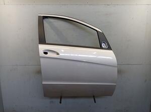 Door MERCEDES-BENZ A-CLASS (W169)