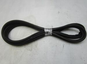 Door Seal RENAULT Clio III Grandtour (KR0/1)