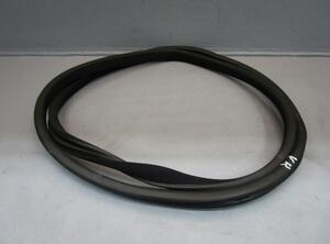 Door Seal MERCEDES-BENZ M-Klasse (W164)