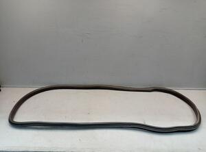 Door Seal VOLVO S40 II (544)