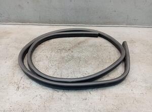 Door Seal SMART FORFOUR (454)