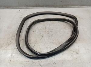 Door Seal AUDI A6 (4F2, C6)