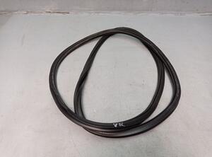 Door Seal VW PASSAT (3G2, CB2)