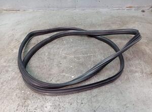 Door Seal PEUGEOT 206+ (2L_, 2M_)