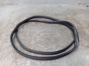 Door Seal PEUGEOT 206+ (2L_, 2M_)