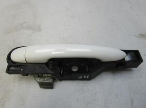 Door Handle RENAULT Clio III Grandtour (KR0/1)