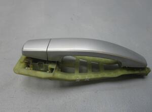 Door Handle OPEL Signum (--)