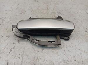 Door Handle AUDI A6 (4F2, C6)